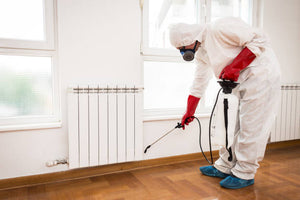 Pest Control Services