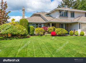 Landscaping Services