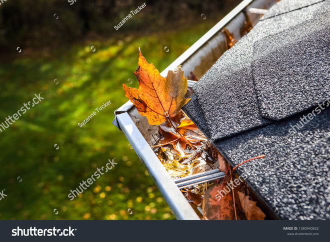 Gutter Cleaning Services